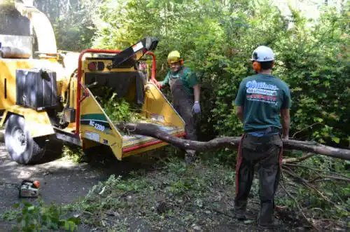 tree services Bonita Springs